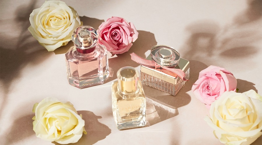 Diplomati Frigøre Dam Rose Parfum ✔️ online kaufen | DOUGLAS