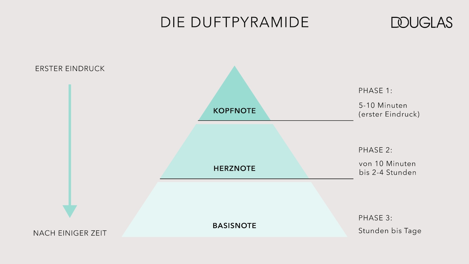 Die Duftpyramide von Douglas erklärt die Phasen eines Duftes: Kopfnote (5-10 Minuten, erster Eindruck), Herznote (10 Minuten bis 2-4 Stunden) und Basisnote (Stunden bis Tage).