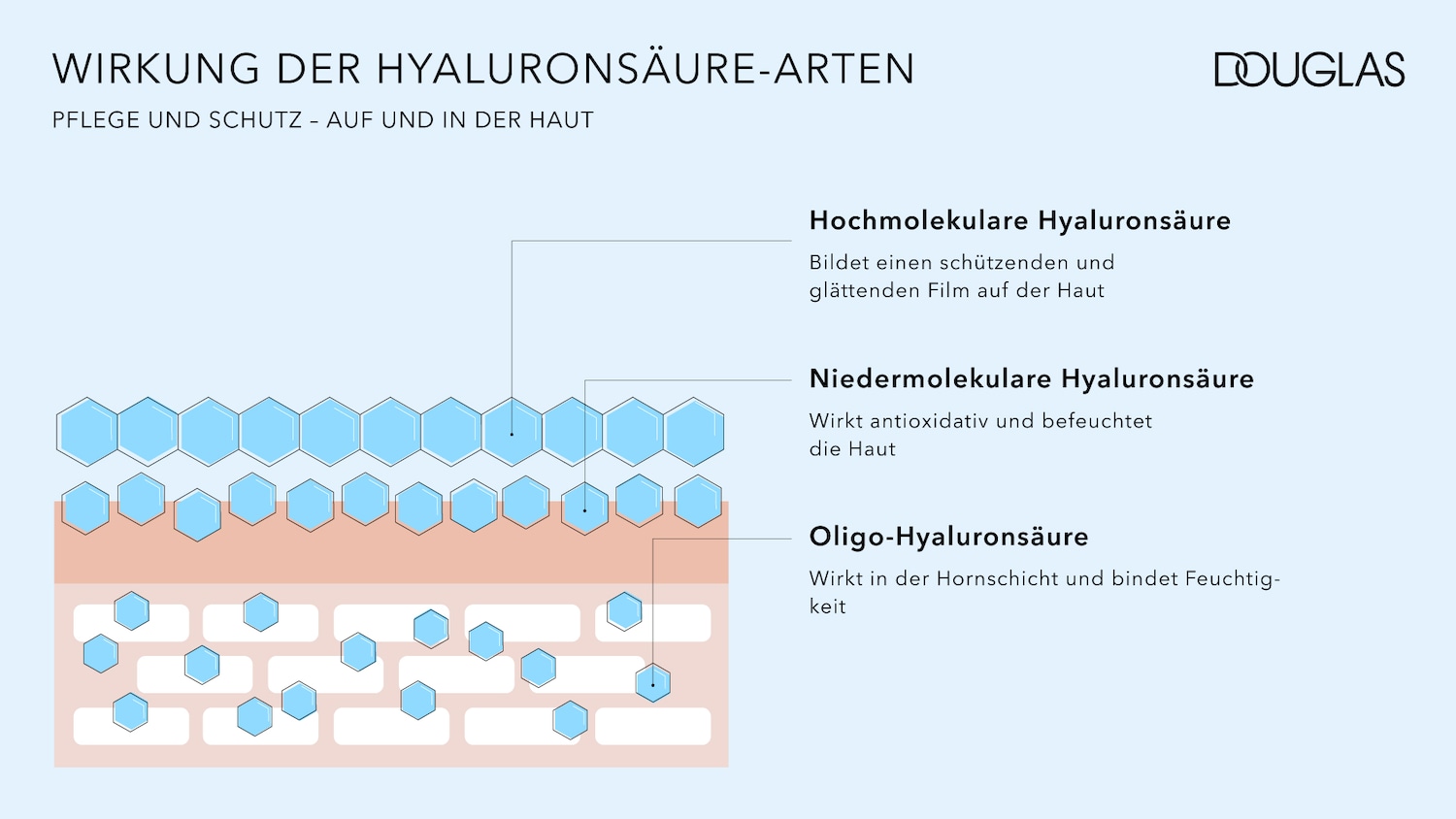 Die Grafik zeigt die Wirkung von Hyaluronsäure-Arten, die die Haut pflegen und schützen, indem sie einen schützenden und glättenden Film bilden, antioxidativ wirken und Feuchtigkeit spenden.