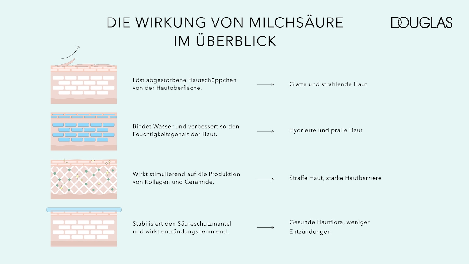 Die Grafik zeigt die Wirkung von Milchsäure im Überblick, wie sie abgestorbene Hautschüppchen löst, Wasser bindet, die Produktion von Kollagen und Ceramide stimuliert, den Säureschutzmantel stabilisiert und entzündungshemmend wirkt.