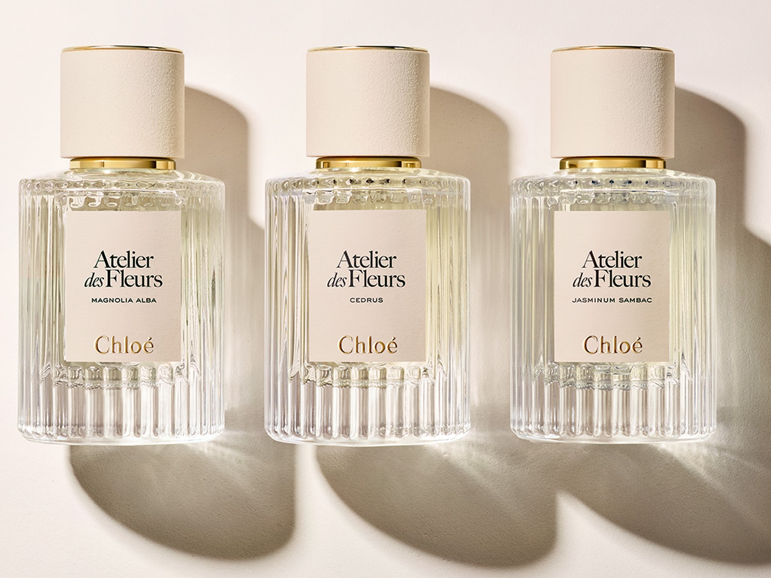Trzy flakony perfum Chloé Atelier des Fleurs: Magnolia Alba, Cedrus i Jasminum Sambac, każdy w przezroczystej, żłobionej butelce z beżowym korkiem i złotym akcentem.