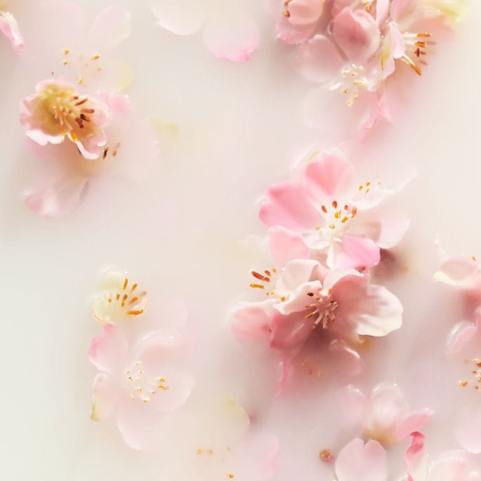 2x Rituals Of Sakura Deo Anti-perspirant Stick 75 Ml online kaufen
