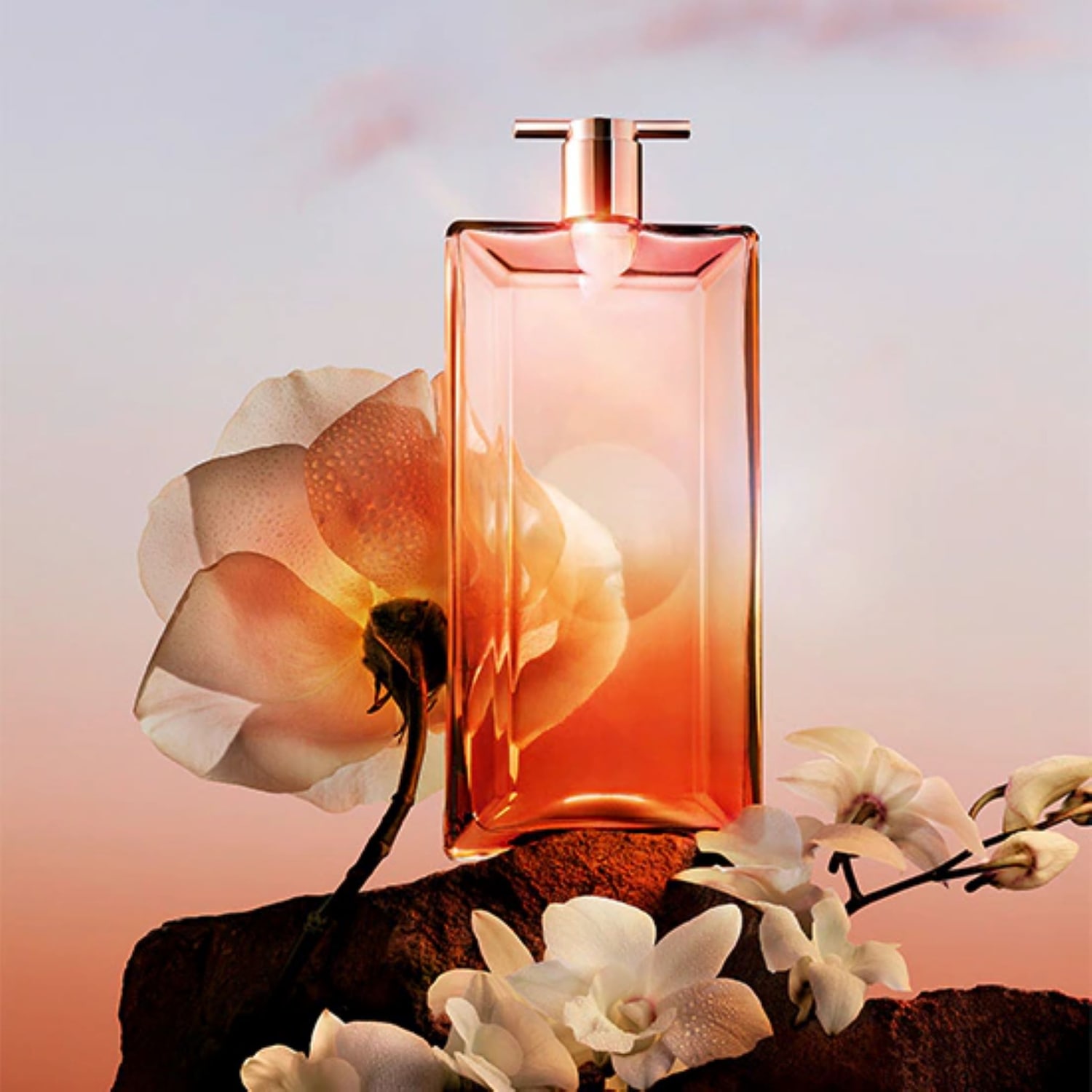 Armani Idole LancÃ´me IdÃ´le Parfum 75 Ml Parfüm Lancome Idole 75