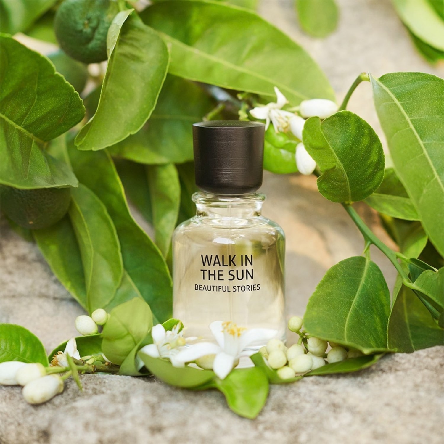 Een parfumflesje met de tekst "WALK IN THE SUN BEAUTIFUL STORIES" staat tussen groene bladeren, witte bloesems en onrijpe citrusvruchten, wat een frisse en natuurlijke geur suggereert.