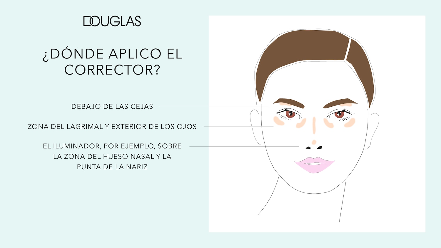Ilustración de la cara de una mujer que muestra dónde aplicar el corrector: debajo de las cejas, en la zona del lagrimal y exterior de los ojos, y el iluminador en la zona del hueso nasal y la punta de la nariz.