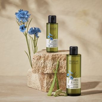 Zwei grüne Flaschen Douglas Naturals Organic Kornblume & Aloe Mizellenwasser stehen auf einem Stein, dekoriert mit blauen Kornblumen und Aloe Vera Blättern.