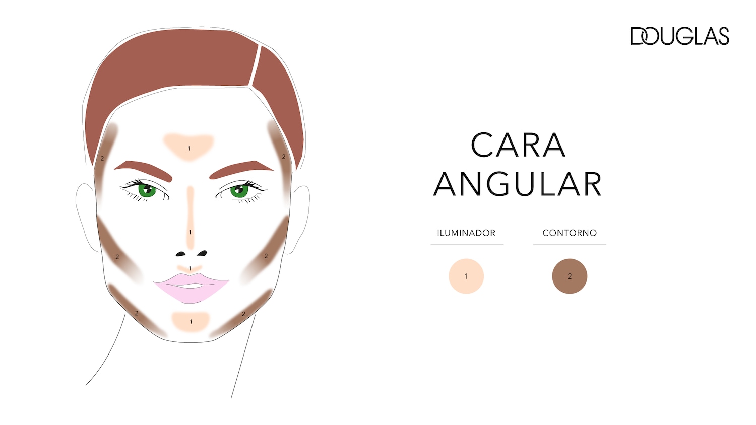 Ilustración de un rostro con maquillaje de contorno e iluminador aplicado en áreas estratégicas para realzar los rasgos angulares, mostrando dónde aplicar los productos.