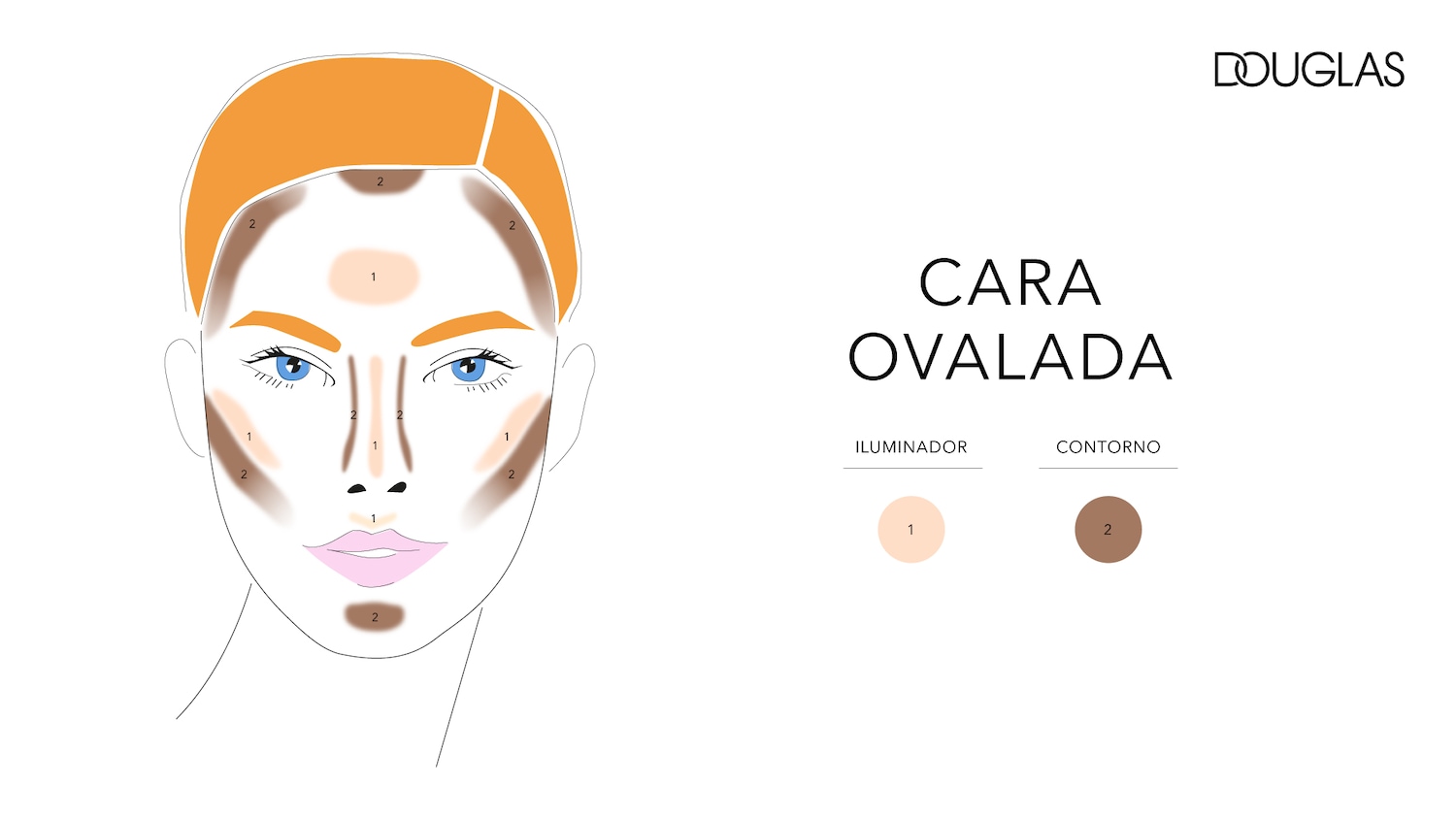Ilustración de un rostro con maquillaje, mostrando las áreas para aplicar iluminador en tono melocotón y contorno en tono marrón para un efecto de cara ovalada, ideal para resaltar y definir los rasgos faciales.