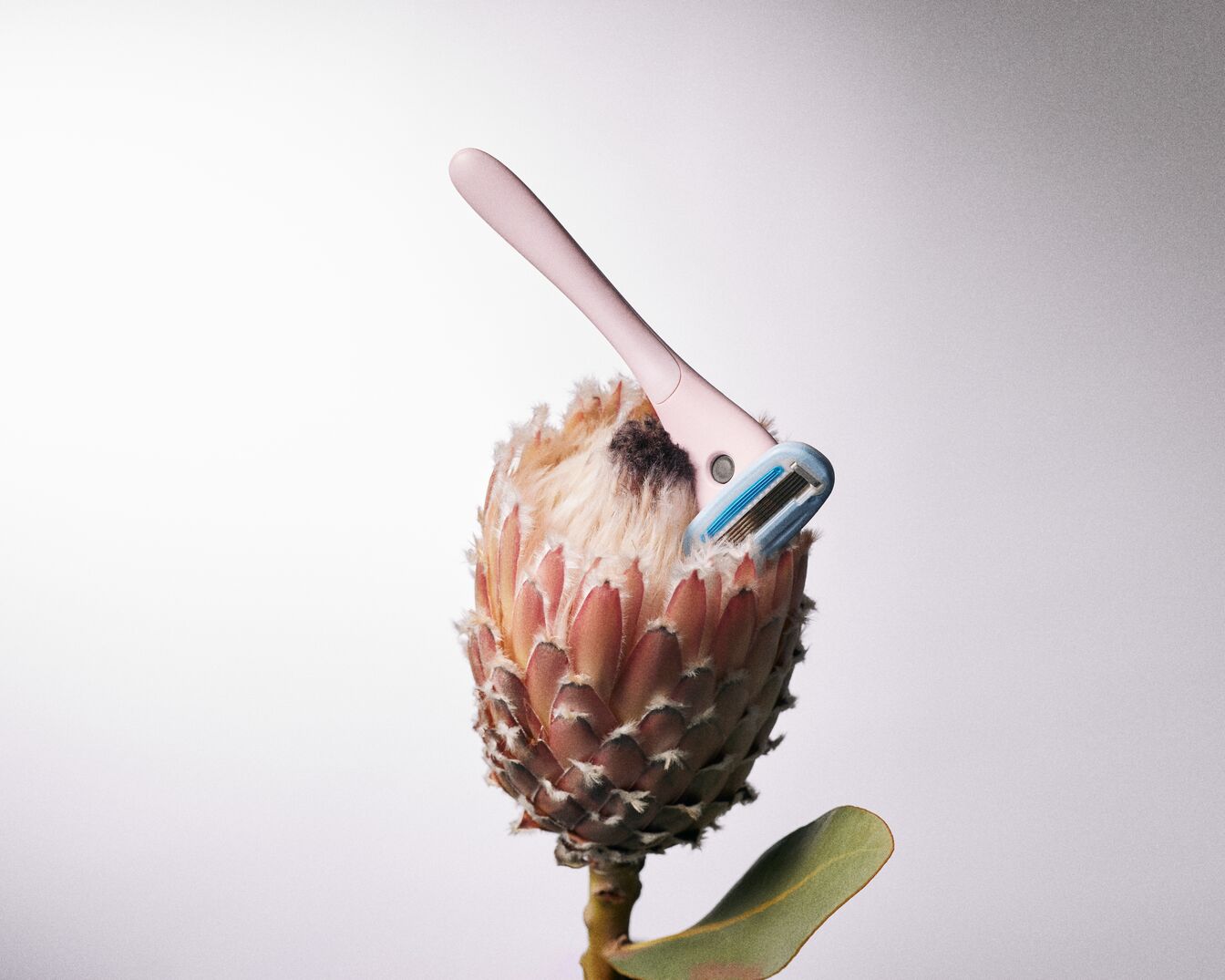 Roze scheermesje met blauwe accenten rustend op een exotische bloem, klaar voor een gladde scheerbeurt.