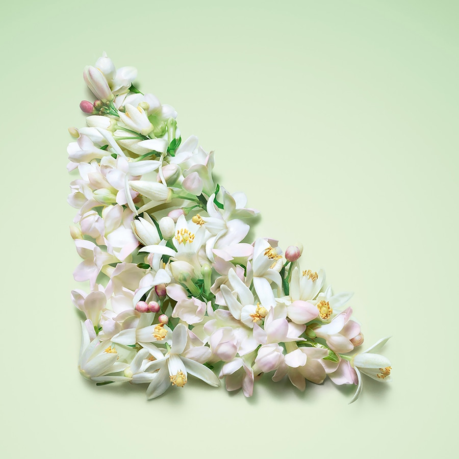 Prada Paradoxe Virtual Flower EDP プラダ NEUTRI Paradoxe Virtual Flower EDP 30 ml | PRADA