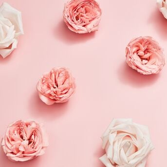 Roze en witte rozen liggen verspreid op een zachtroze achtergrond, waardoor een delicate en romantische sfeer ontstaat.