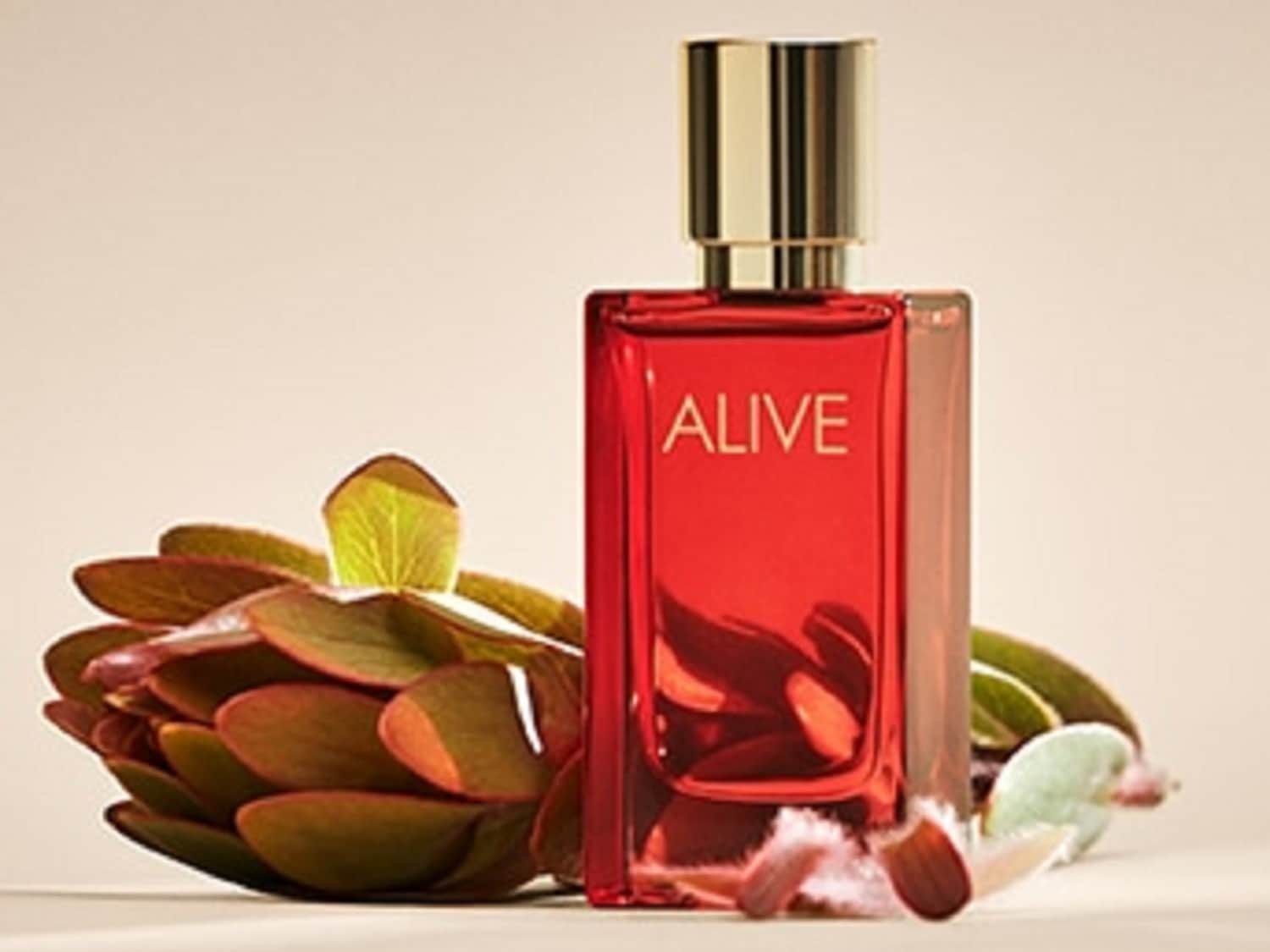 Il profumo ALIVE in una bottiglia rossa rettangolare con tappo dorato, adagiato accanto a un fiore di Banksia dai toni marroni e verdi.