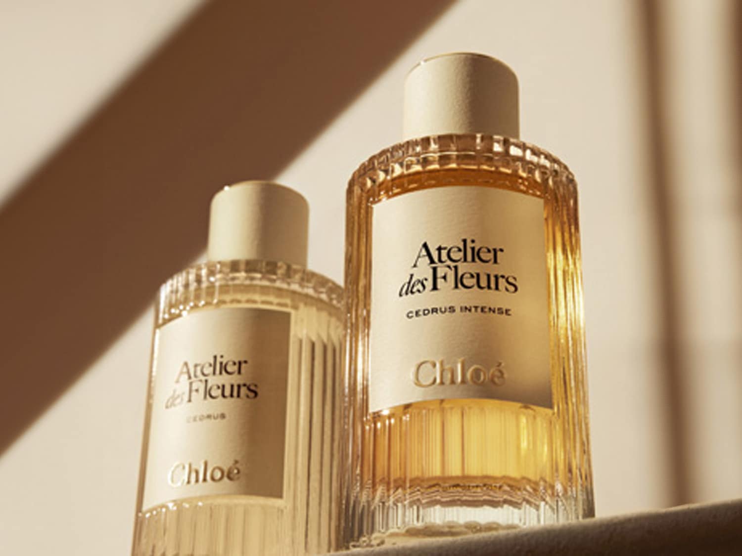 Dva flakony parfému Chloé Atelier des Fleurs Cedrus Intense s rýhovaným sklem a štítkem s názvem.