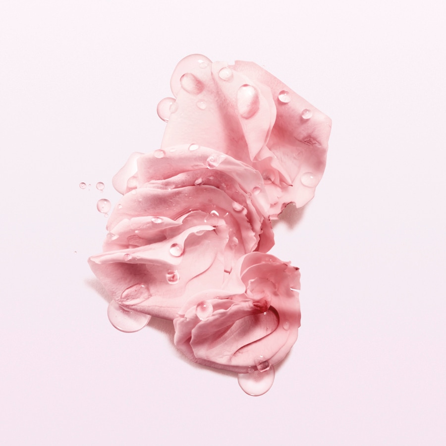 Nahaufnahme von zarten, rosa Rosenblättern, die mit klaren Wassertropfen bedeckt sind, auf einem sanften, hellen Hintergrund.