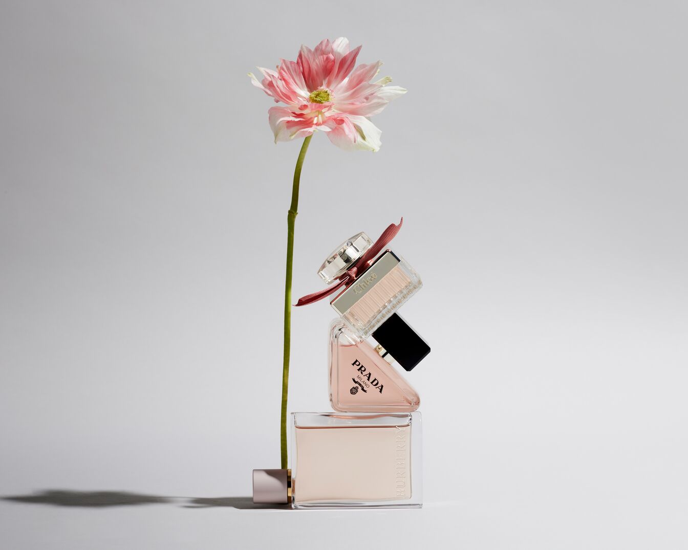 Ein Arrangement aus Burberry-, Prada- und Chloé-Parfümflaschen in zarten Rosatönen, gestapelt unter einer rosa-weißen Blüte.