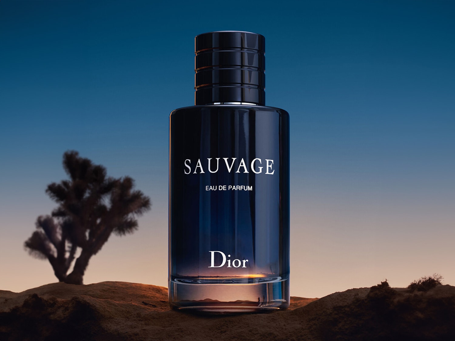 Douglas sauvage parfum best sale