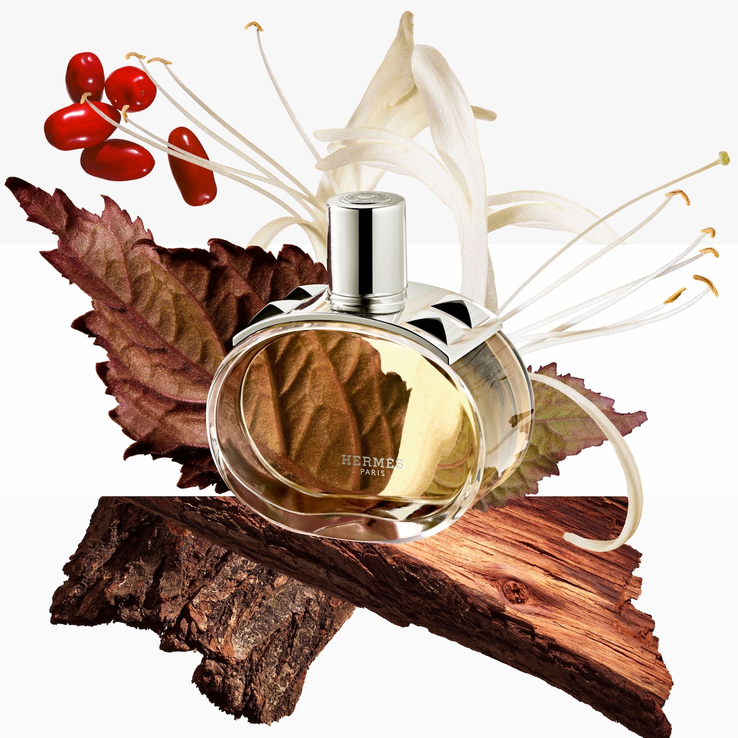 Ein Flakon Hermès Paris Eau de Toilette mit silbernem Verschluss, umgeben von roten Beeren, einem weißen Blütenblatt, einem braunen Blatt und einem Stück Holz.