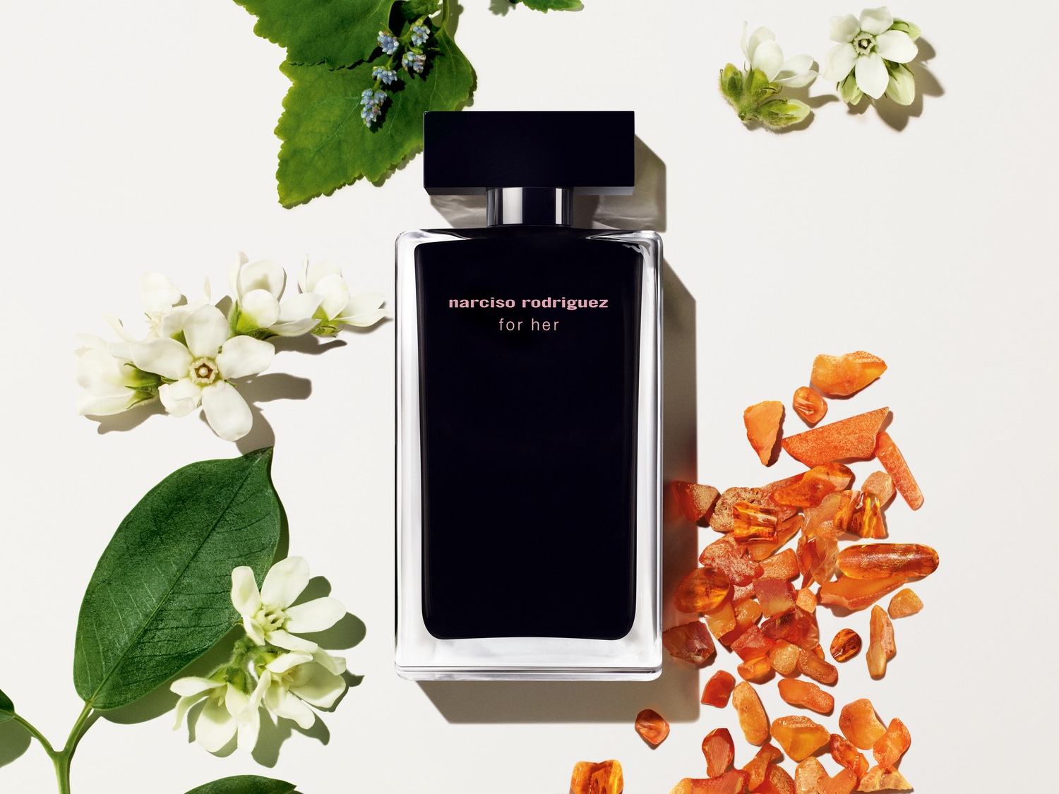 Découvrez le parfum Narciso Rodriguez For Her, un flacon noir élégant entouré de fleurs blanches et d'éclats d'ambre, évoquant une fragrance à la fois pure et chaleureuse.