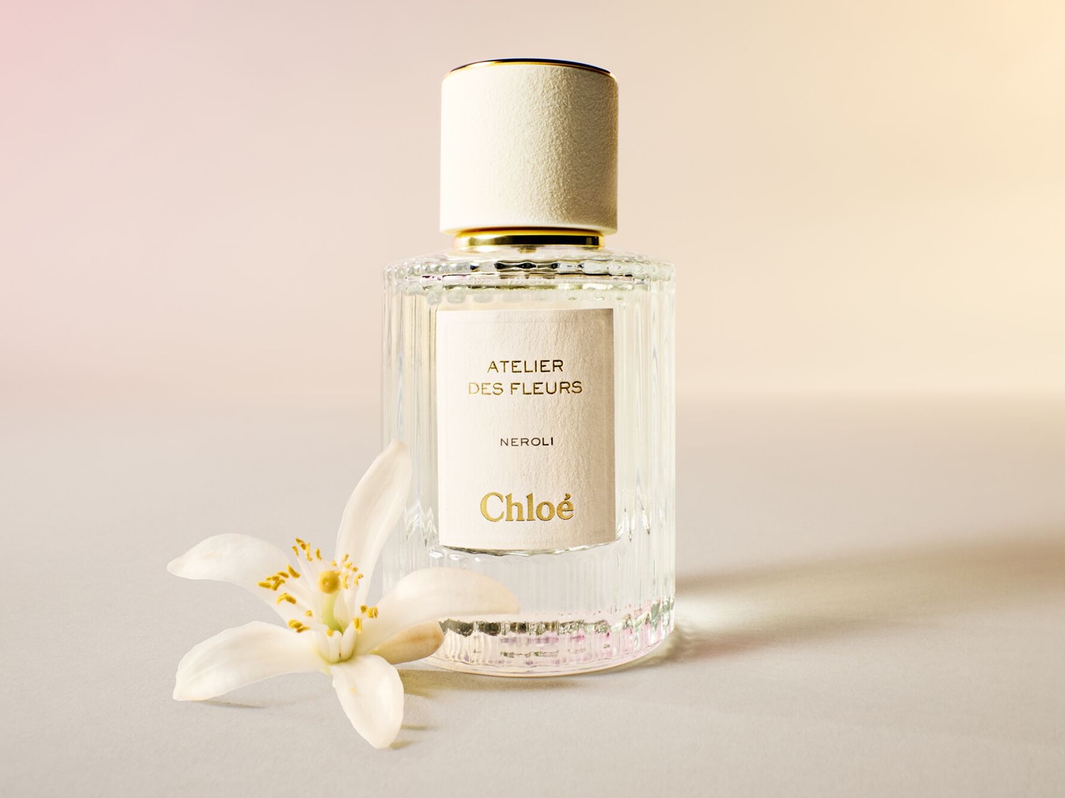 Klares Glasflakon von Chloé Atelier des Fleurs Neroli mit elfenbeinfarbenem Etikett und Verschluss, begleitet von einer zarten weißen Blüte.