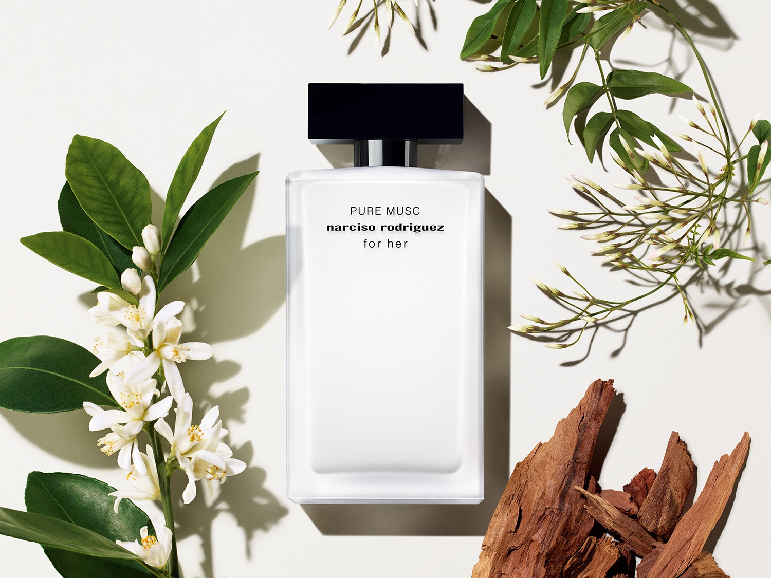 Narciso rodriguez essence douglas online