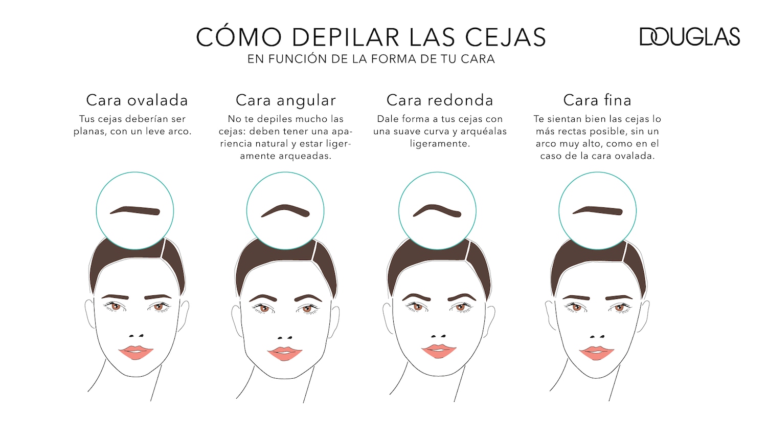 Infographic from Douglas showing how to shape your eyebrows according to your face shape, including oval, angular, round, and thin faces.