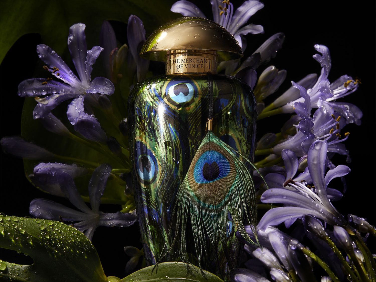 Lahvička parfému Merchant of Venice zdobená pírky páva a zlatým víčkem je obklopena fialovými květy a zelenými listy.