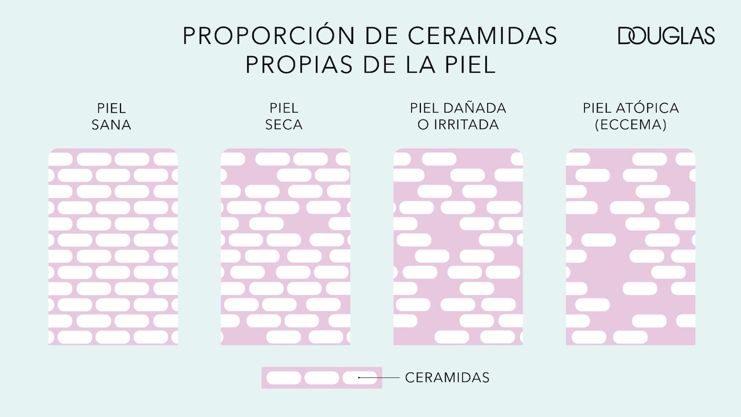Diagrama de Douglas que muestra la proporción de ceramidas propias de la piel en piel sana, piel seca, piel dañada o irritada y piel atópica (eccema).