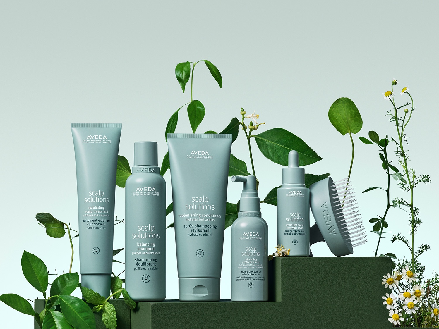 Aveda Scalp Solutions-Kollektion in sanften Grüntönen, umgeben von frischen Pflanzen.