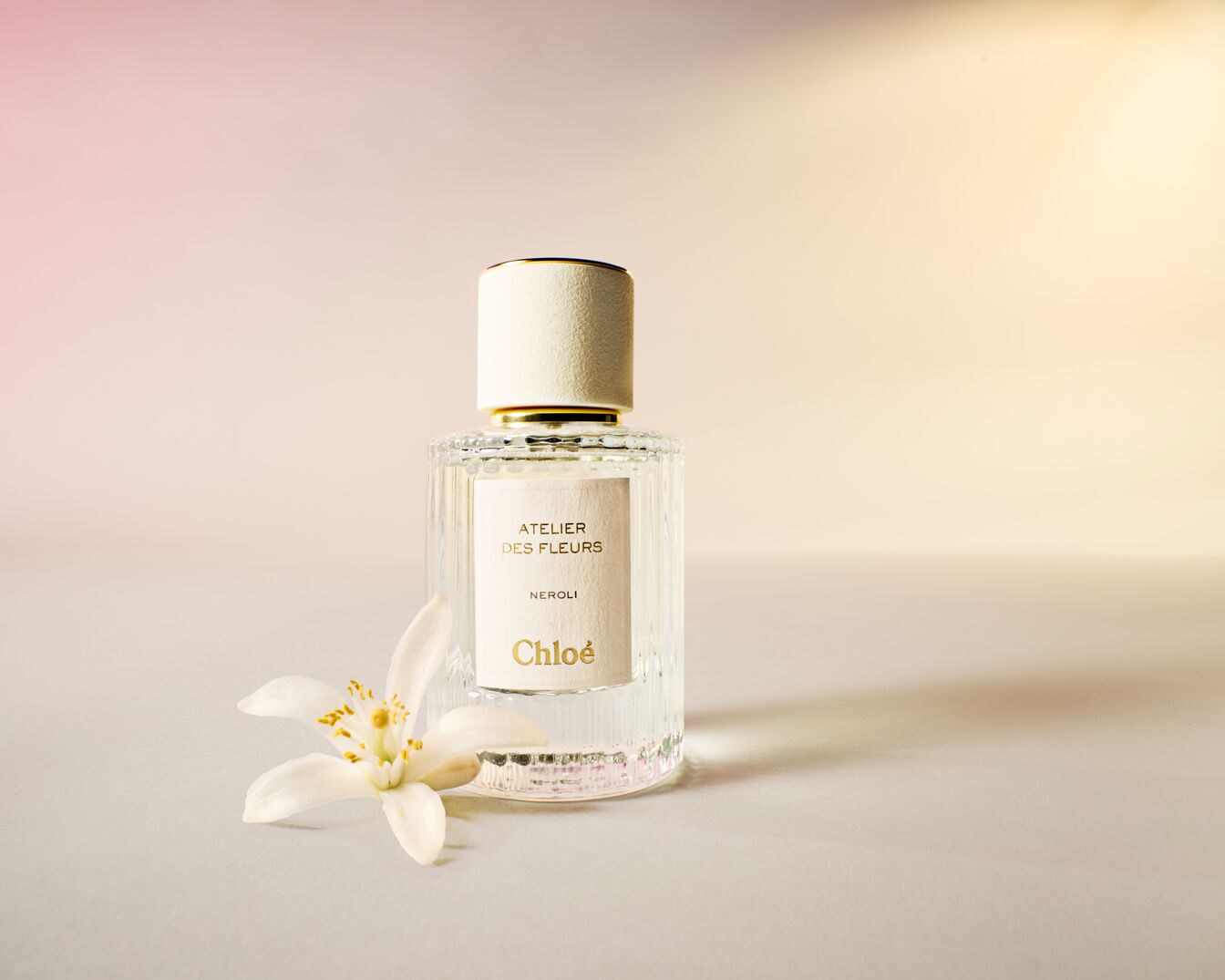 Ein durchsichtiger Glasflakon von Chloé Atelier des Fleurs Neroli Eau de Parfum mit einem beigen Deckel und einer weißen Blüte davor.