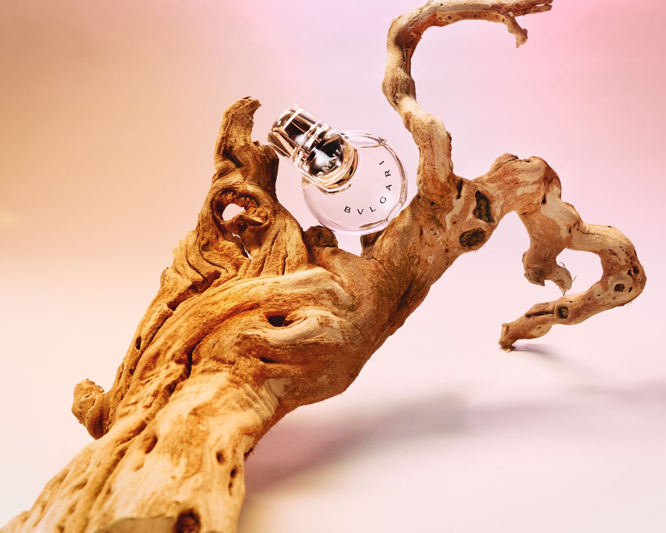 Ein runder, transparenter Bvlgari-Parfümflakon ruht auf einem gewundenen, hellbraunen Ast vor einem sanften rosa Hintergrund.