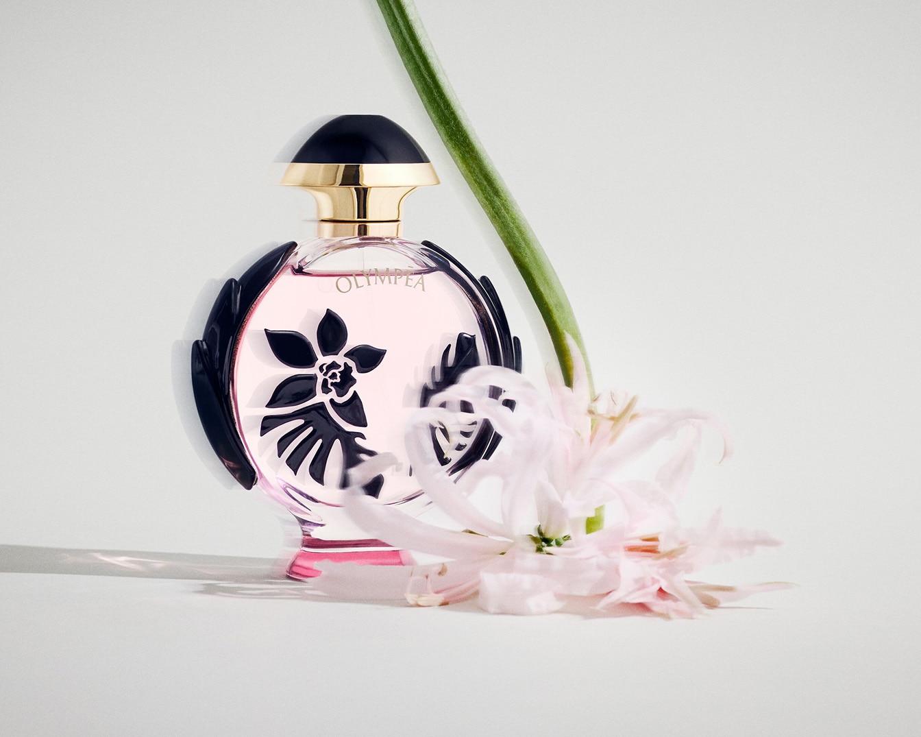 Aromatas „Olympéa“ apvaliame flakone su juodais lapų raštais, aukso spalvos kamšteliu ir šalia šviesiai rožinių gėlių žiedas.