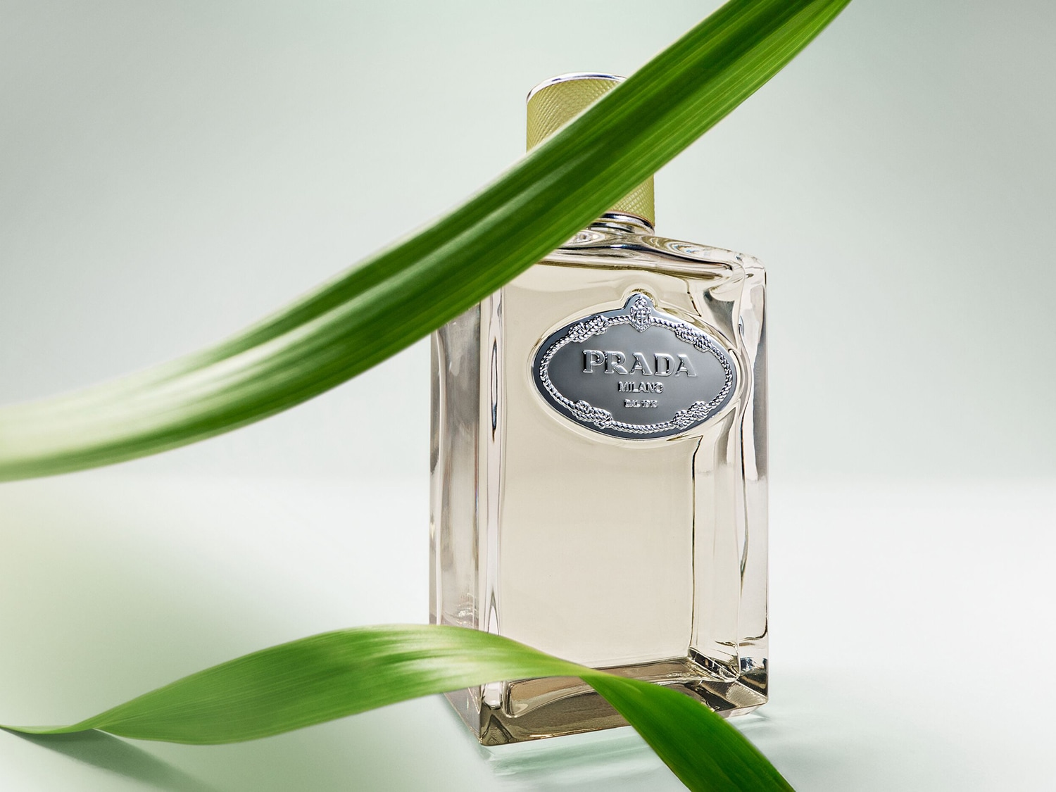 Descubre Prada Infusion d'Iris, una fragancia floral amaderada en un frasco de vidrio transparente con detalles plateados y un tapón dorado, adornado con hojas verdes.