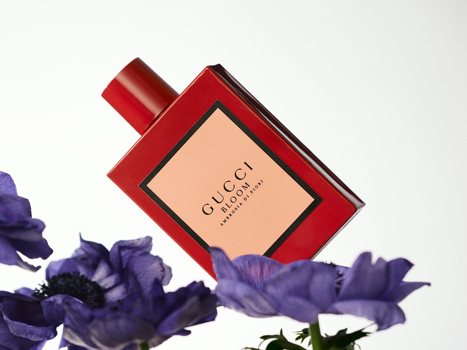 Roter Gucci Bloom Ambrosia di Fiori Flakon mit sanftem, pfirsichfarbenem Etikett, umgeben von zarten lila Blüten.