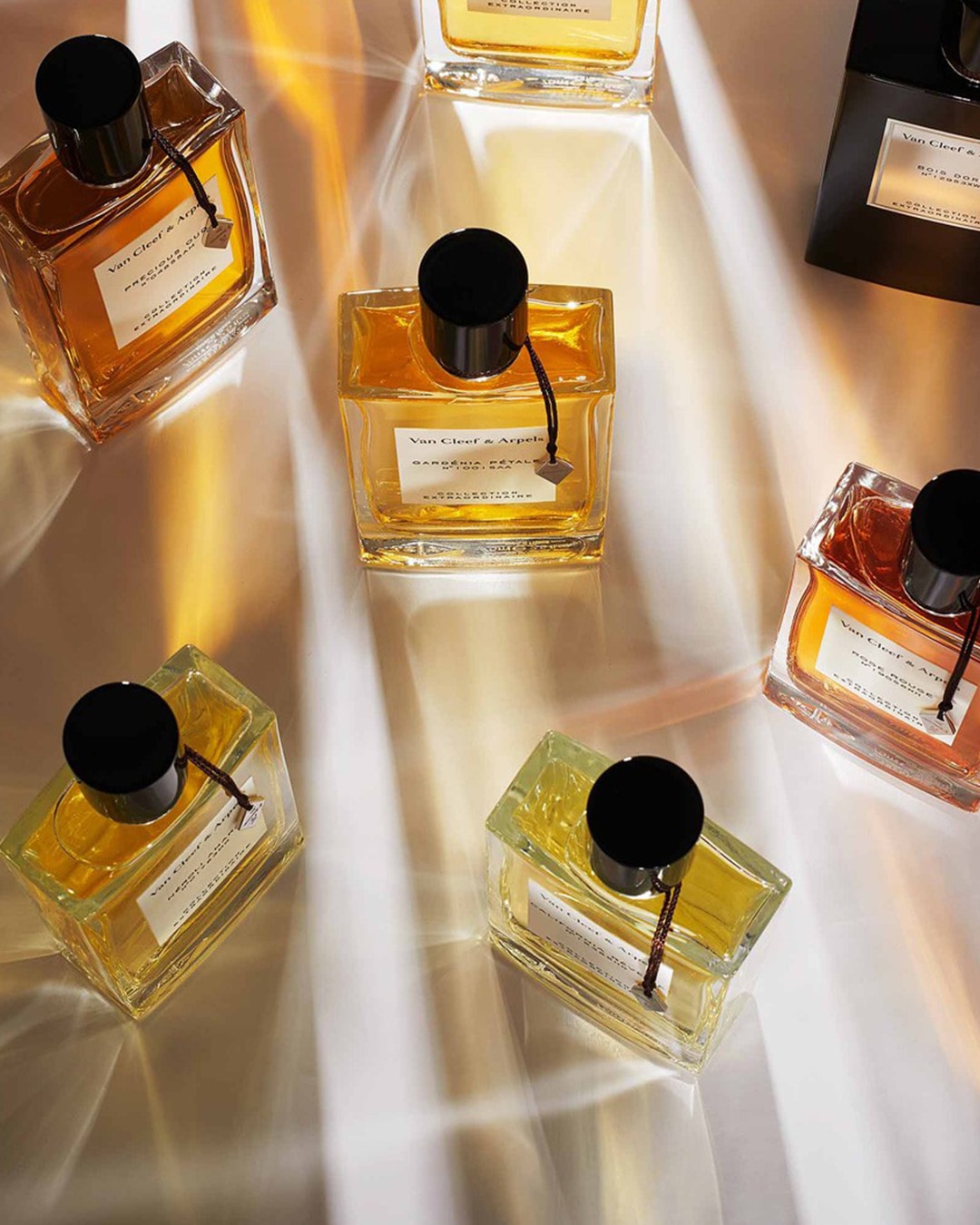 Découvrez la collection extraordinaire de Van Cleef & Arpels, avec des flacons de parfum aux teintes dorées et ambrées, coiffés de bouchons noirs élégants.