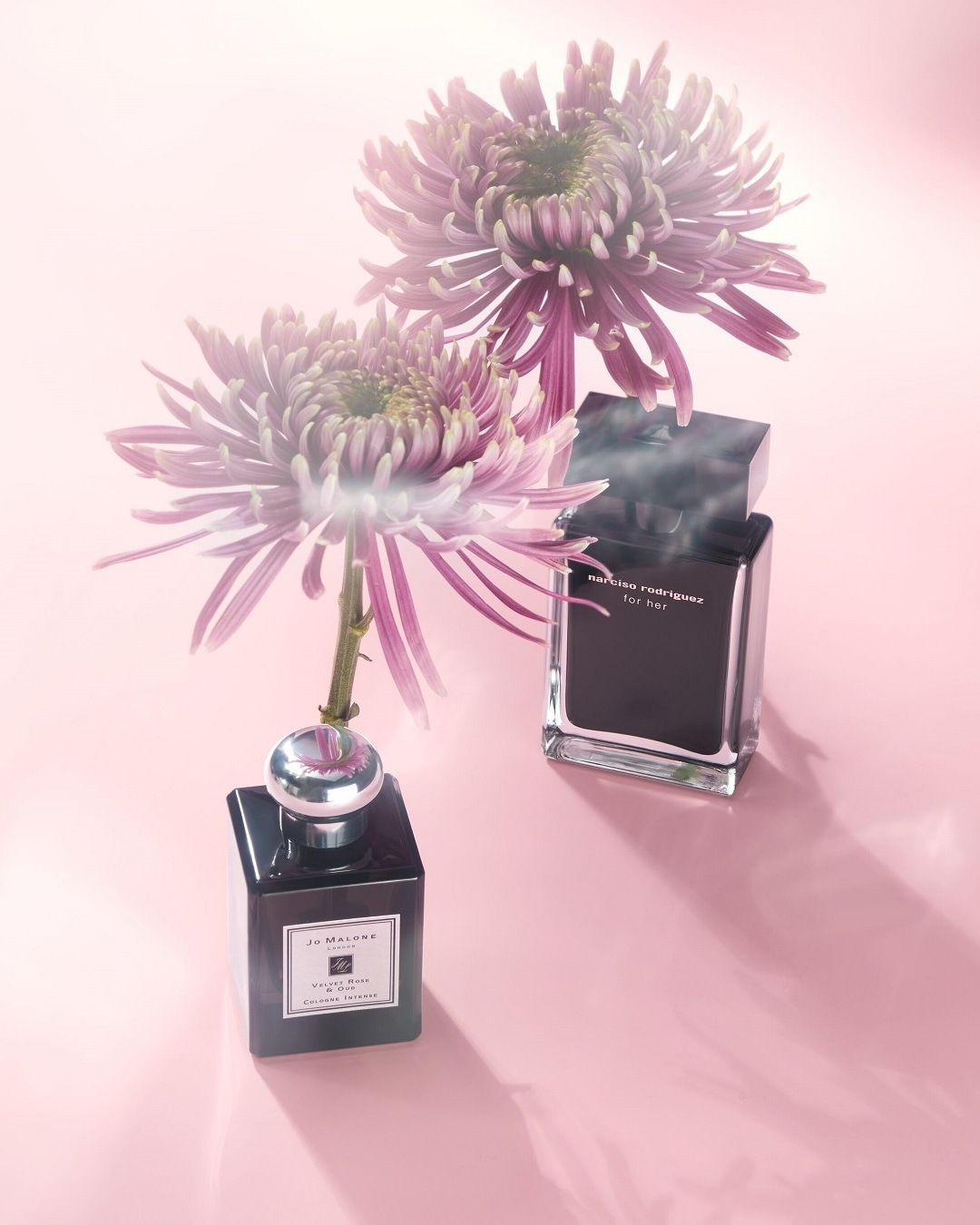 Dva flakóny parfumov Jo Malone Velvet Rose & Oud Cologne Intense a Narciso Rodriguez for her, obklopené ružovými kvetmi na ružovom pozadí.