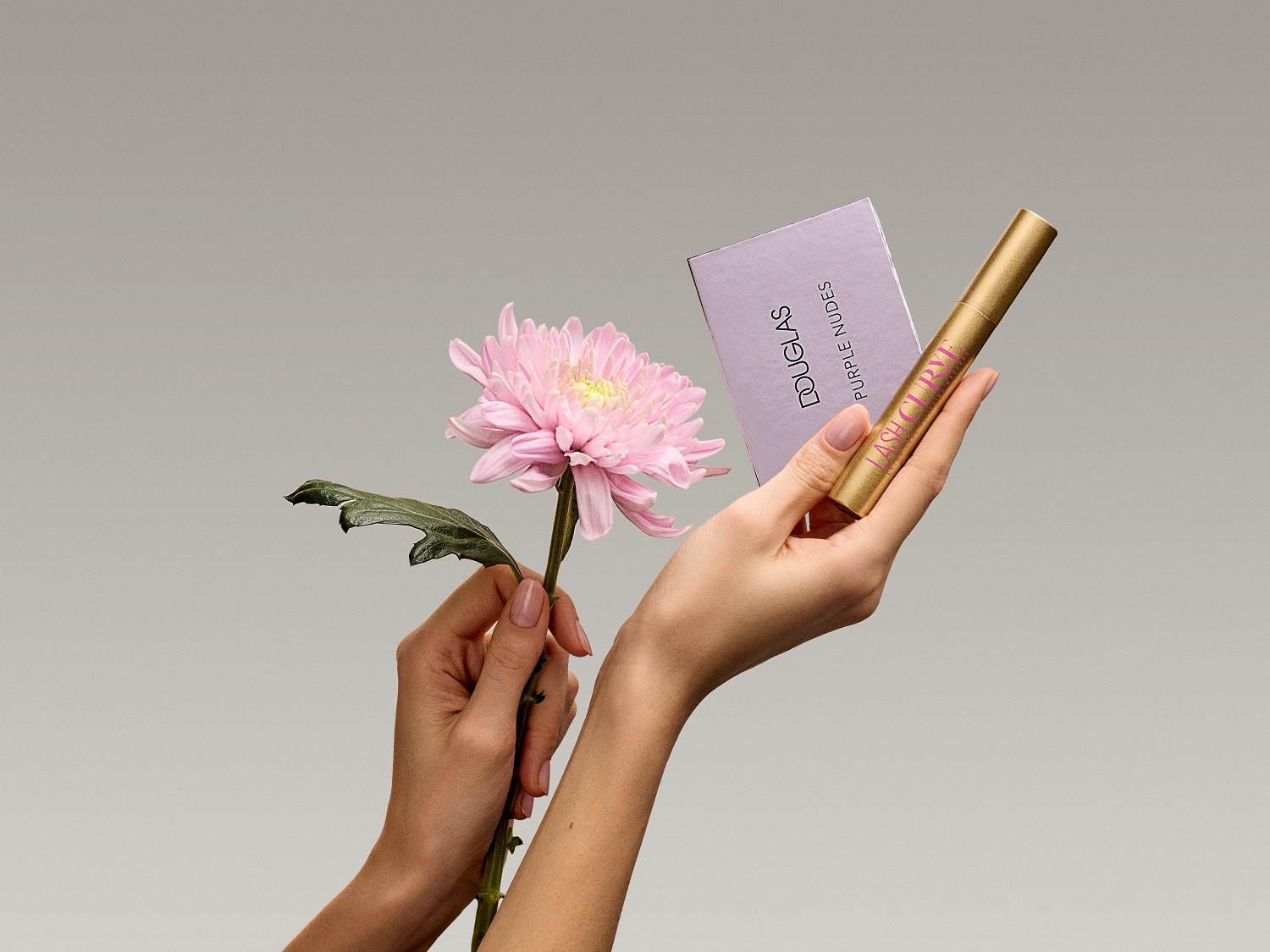 Žena drží v jednej ruke ružovú chryzantému a v druhej kozmetiku Douglas Purple Nudes a zlatú maskaru Lash Curve.