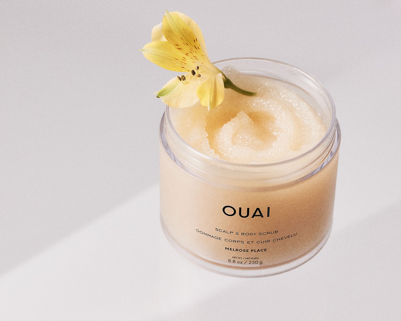 Ein durchsichtiger Tiegel mit OUAI Kopfhaut- und Körperpeeling, verziert mit einer gelben Blume, verspricht ein luxuriöses Peeling-Erlebnis.