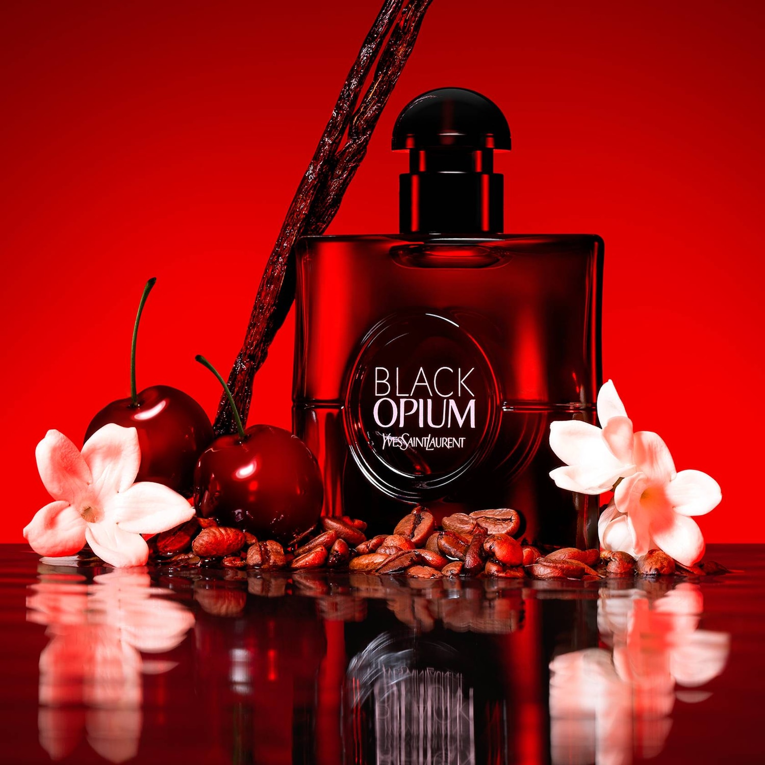 A Black Opium Yves Saint Laurent parfümös üvegcséje cseresznyével, virágokkal és kávészemekkel van körülvéve, mindez egy piros háttér előtt.