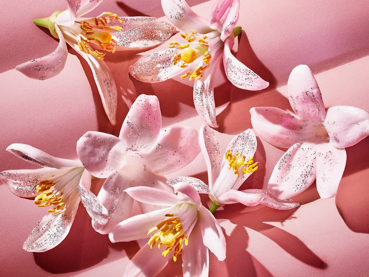 Rózsaszín virágok ezüst csillámokkal díszítve, rózsaszín háttéren elhelyezve.