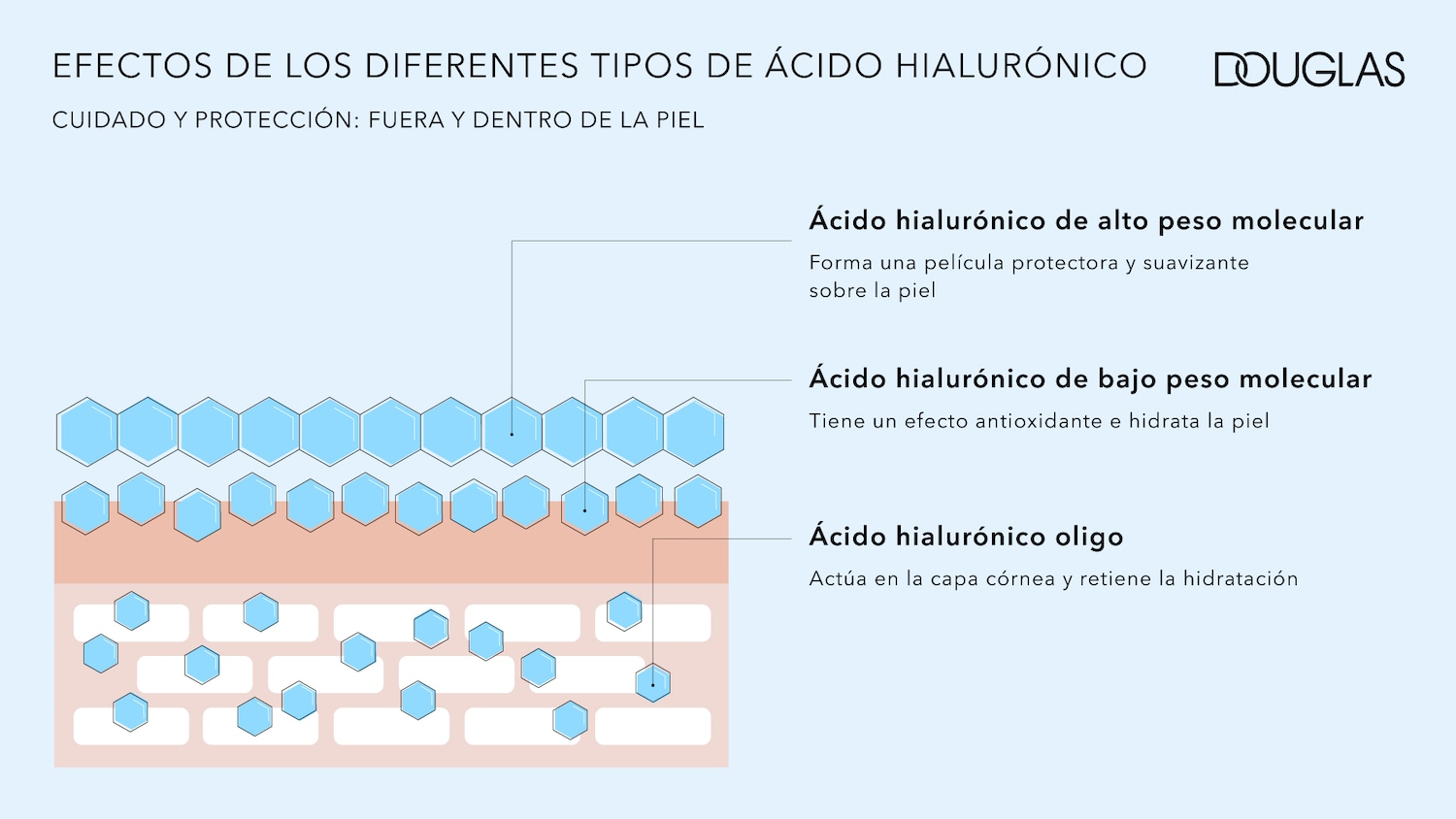 Infografía de Douglas sobre los efectos de los diferentes tipos de ácido hialurónico, mostrando cómo cuidan y protegen la piel desde fuera hacia dentro.