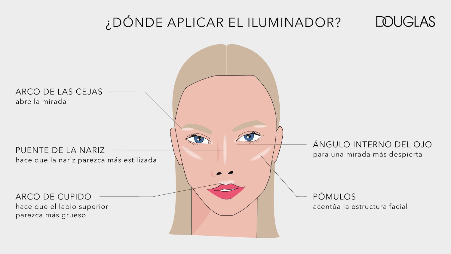 Ilustración de rostro femenino que muestra dónde aplicar el iluminador: arco de las cejas, puente de la nariz, ángulo interno del ojo, arco de cupido y pómulos.