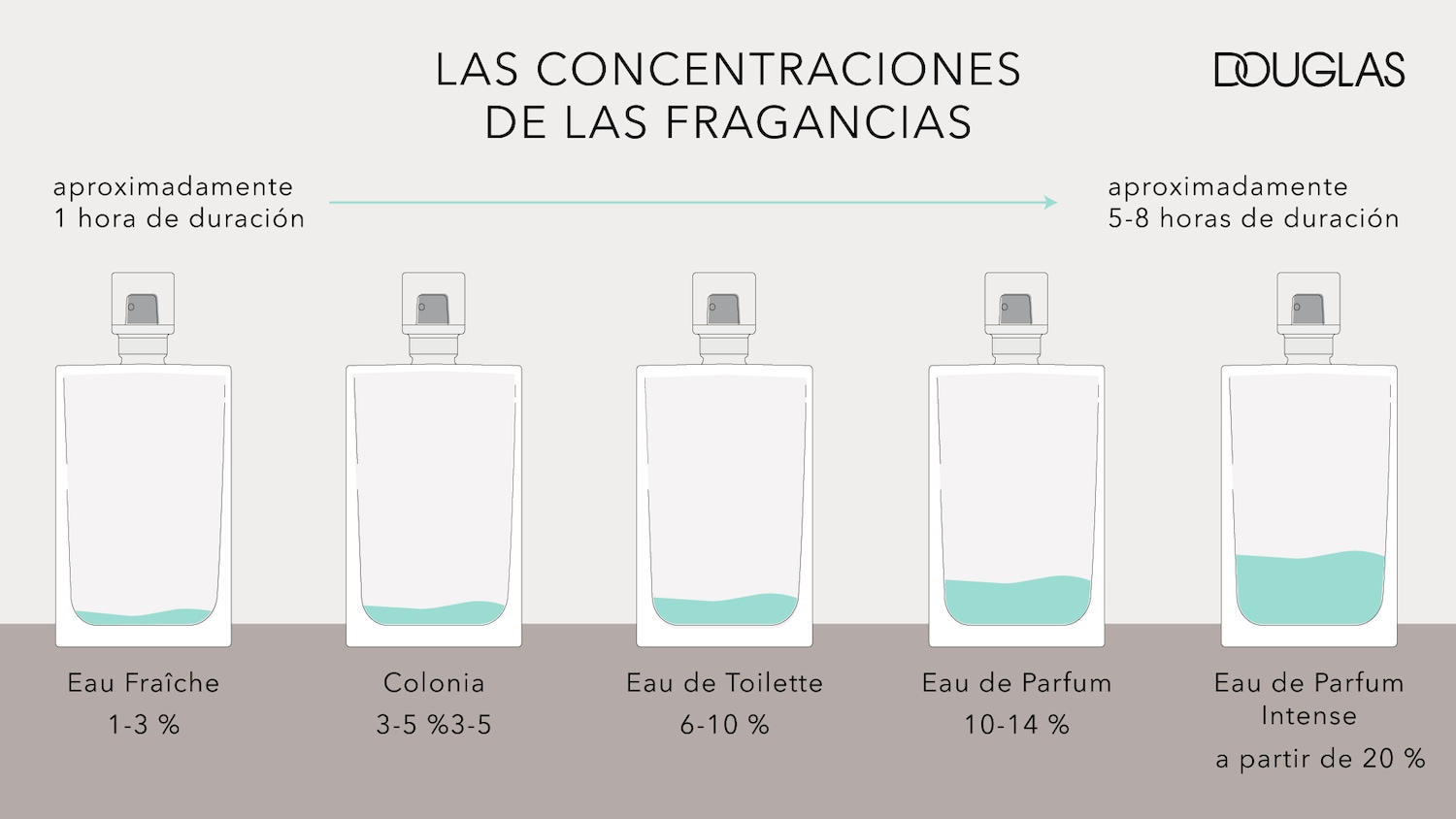 Infografía de Douglas que muestra las concentraciones de fragancias en cinco frascos, desde Eau Fraîche (1-3%) con duración de 1 hora, hasta Eau de Parfum Intense (20%) con duración de 5-8 horas.