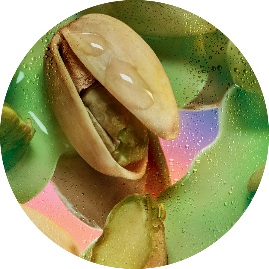 Zadig&amp;Voltaire THIS IS HER! Burning Love Eau de Parfum ️ online kaufen ...