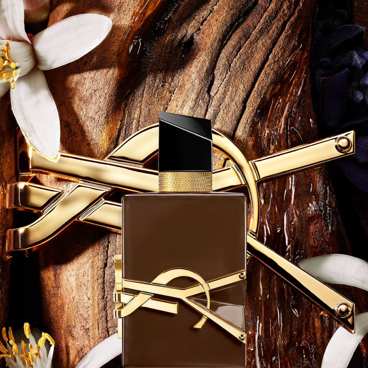 Een bruine parfumfles met een gouden YSL-logo ligt op een houten oppervlak, omringd door witte bloemblaadjes en donkere stof, met glanzende druppels op het hout.