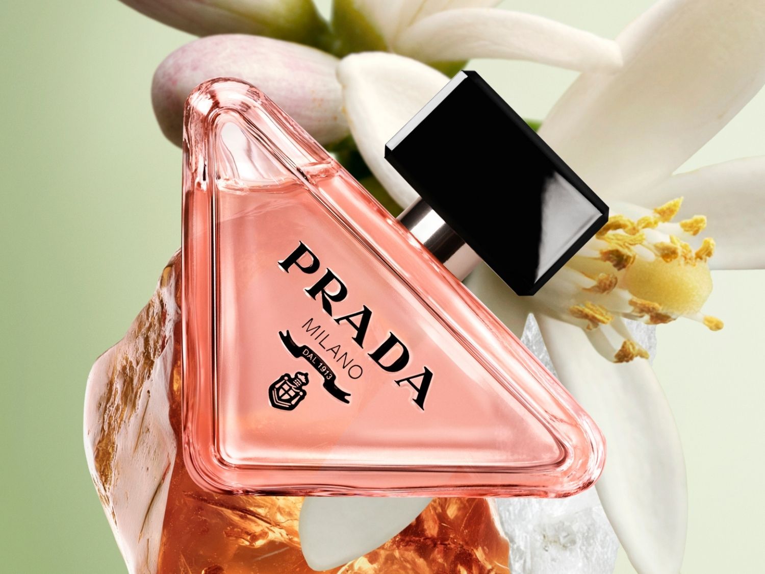 Parfém Prada Paradoxe v trojúhelníkovém flakonu s růžovou tekutinou a černým uzávěrem, obklopený bílými květy a krystaly, je zobrazen na světle zeleném pozadí.