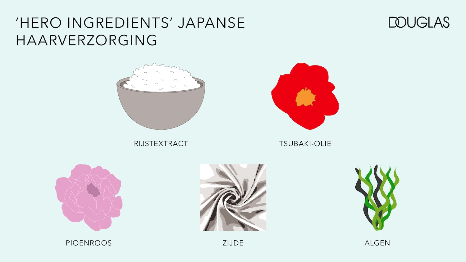 Ontdek de 'hero ingrediënten' in Japanse haarverzorging, met rijstextract, tsubaki-olie, pioenroos, zijde en algen, die elk bijdragen aan gezond en stralend haar.