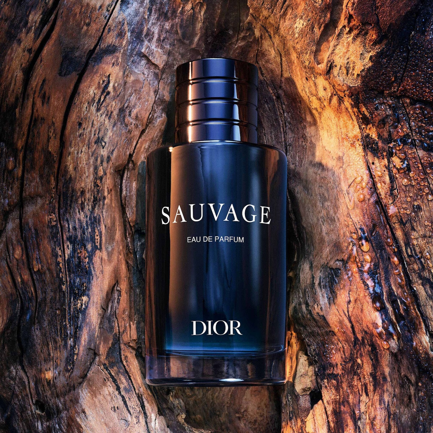 Dior Sauvage parfum ✔️ DOUGLAS