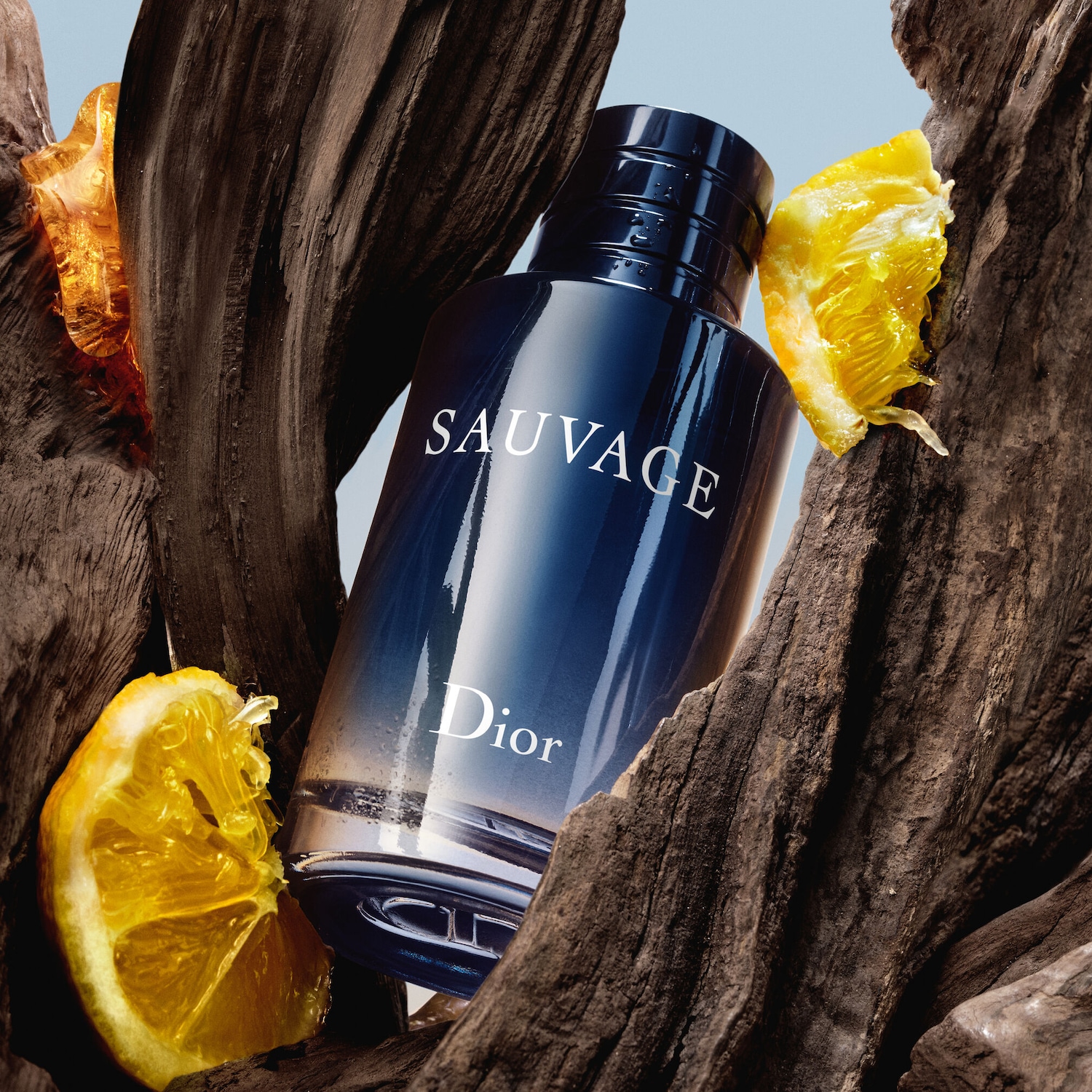 DIOR Sauvage Eau de Toilette Eau de toilette ✔️ online kopen