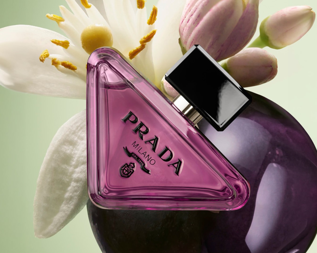 Flacon de parfum triangulaire Prada Milano contenant un liquide rose, sur fond de fleurs blanches et violettes.
