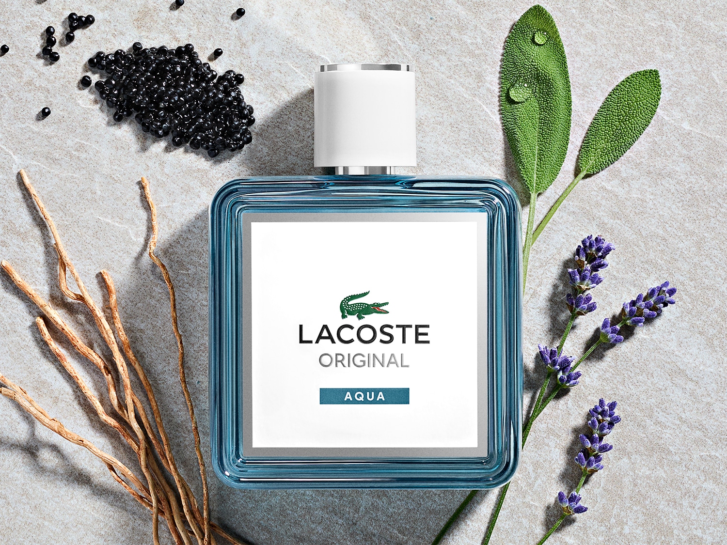 Prostokątny flakon wody perfumowanej Lacoste Original Aqua w kolorze niebieskim z białą nakrętką, otoczony czarnym kawiarem, gałązkami lawendy i szałwii oraz drewnianymi korzeniami na kamiennym tle.